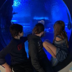 Meet your Posher, Laurie